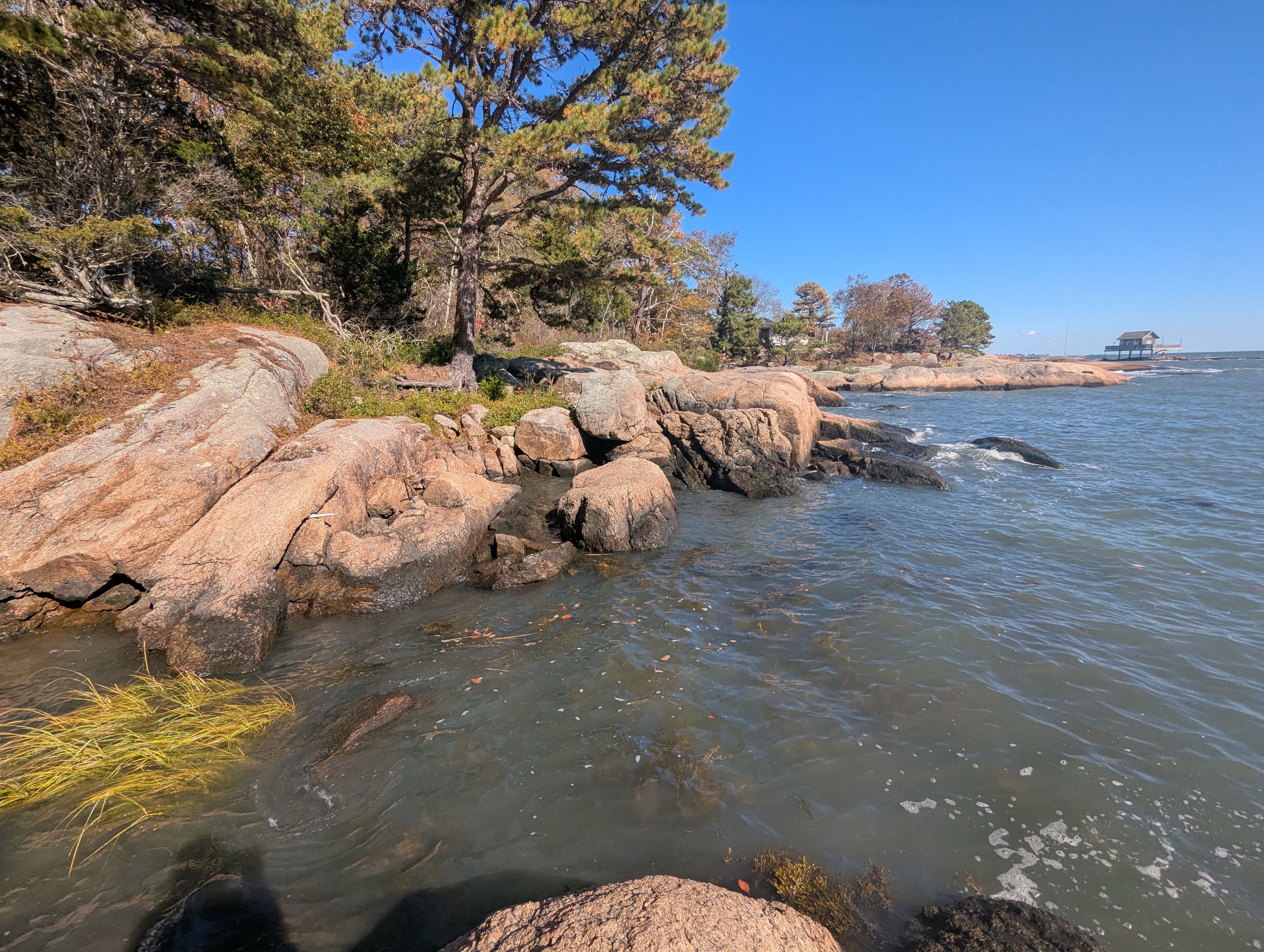 Horse Island coastline