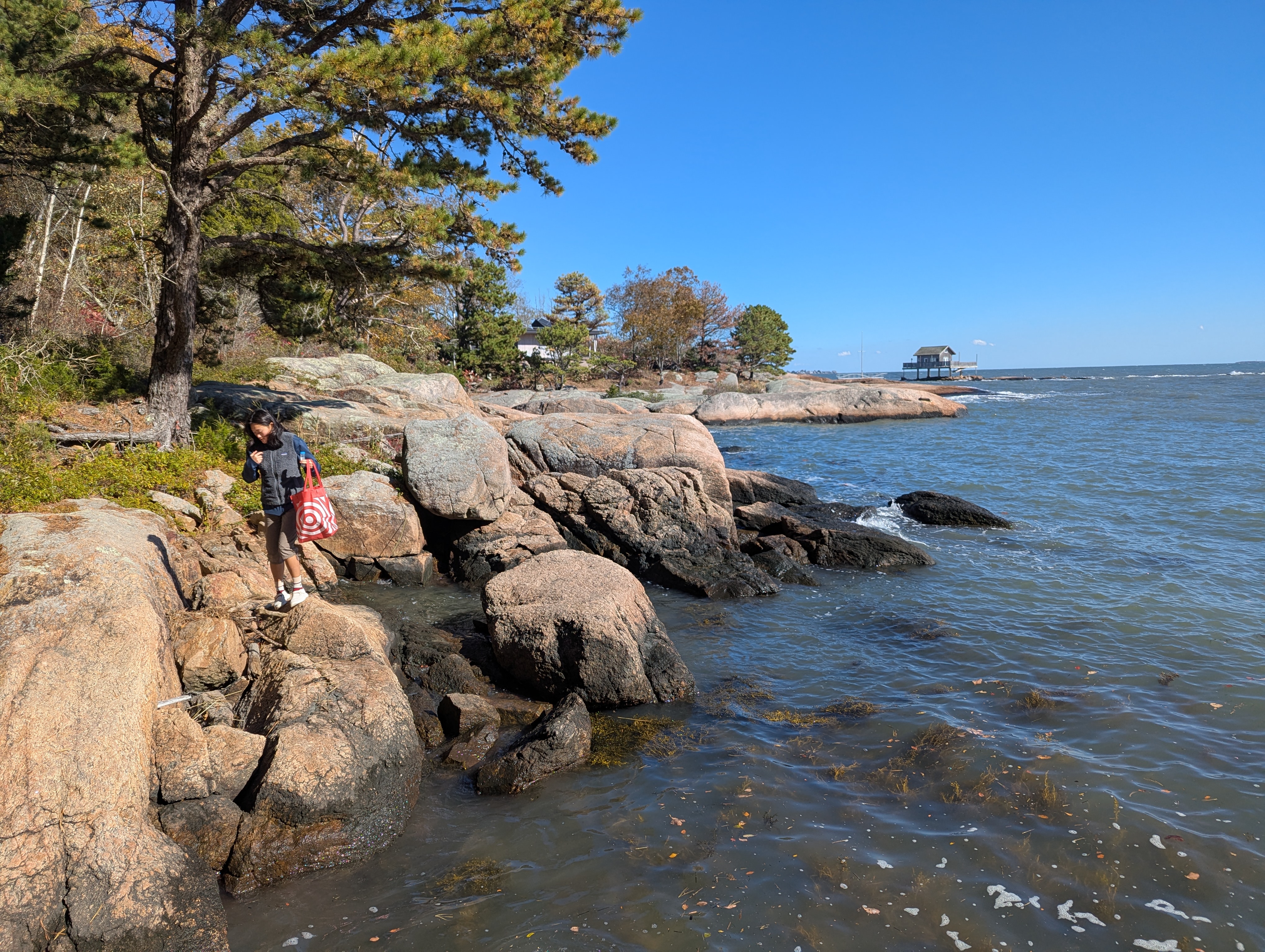 Scouting the shoreline