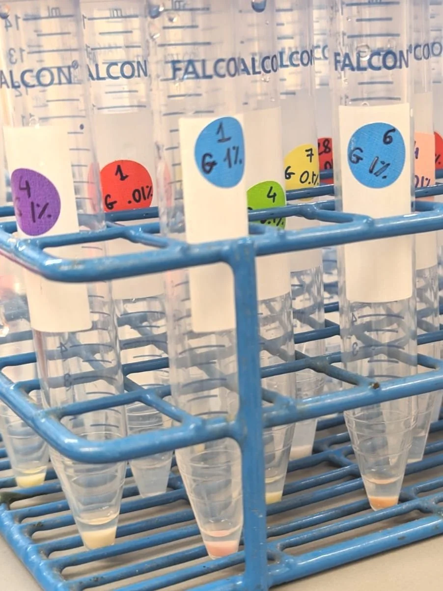 Nutrient-mediated interactions and community diversity