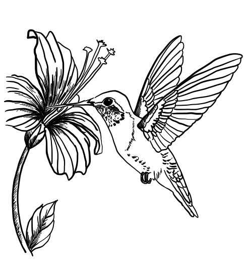 Foundations of Ecology